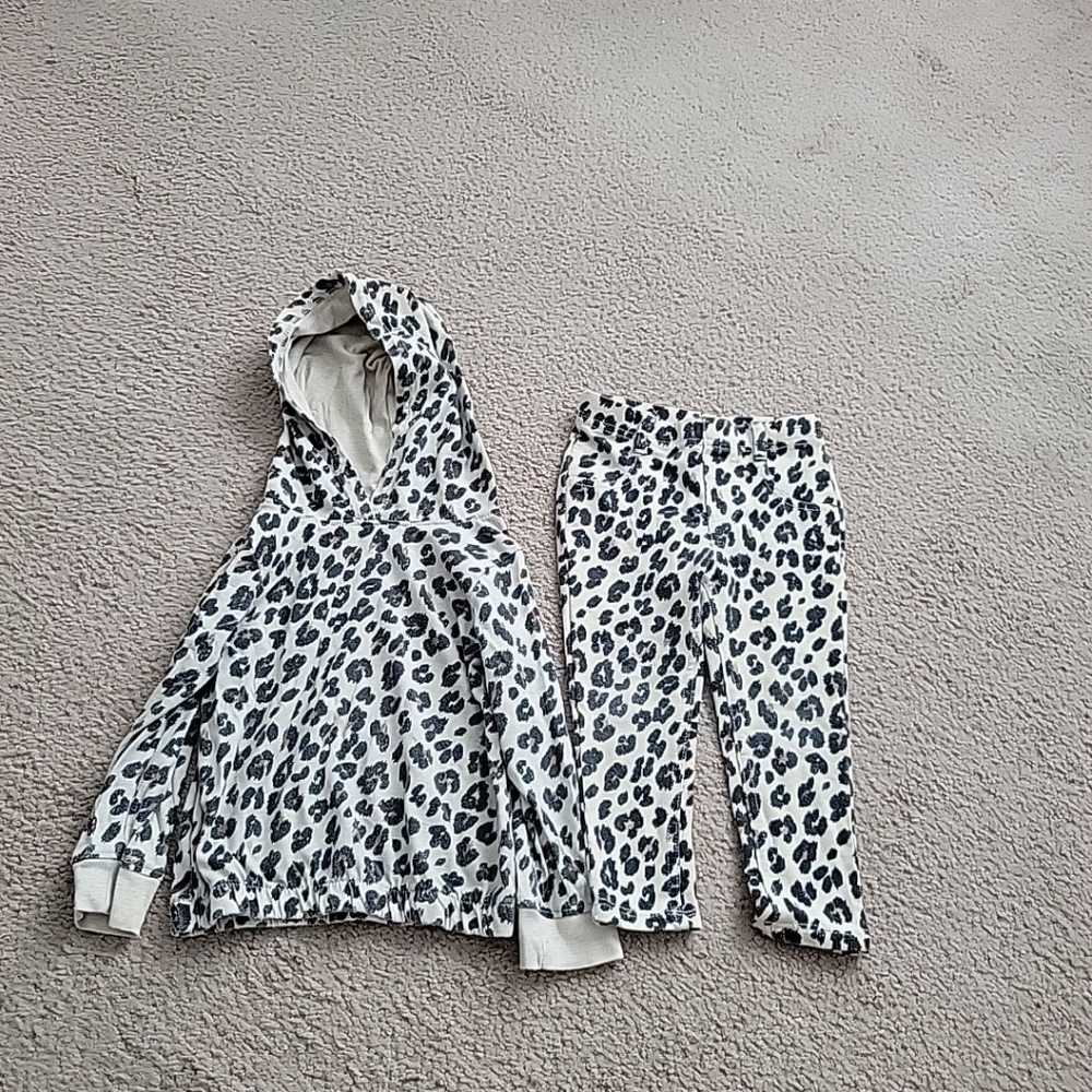 Garanimals Toddler Girl's Set